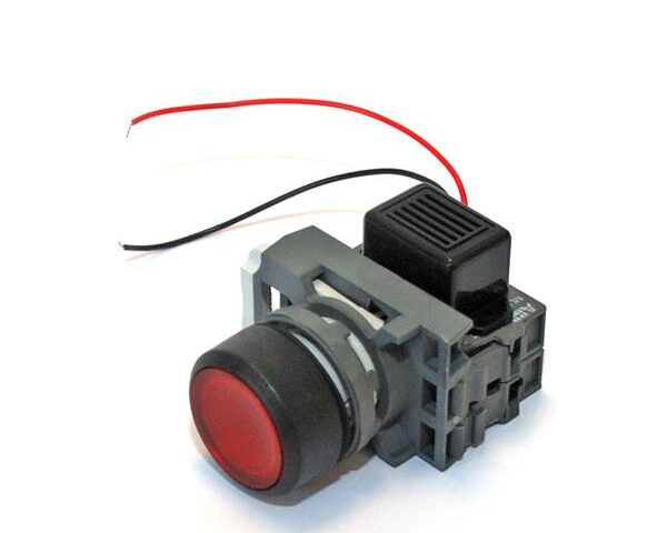 photo of Schakelknop met zoemer 12 volt